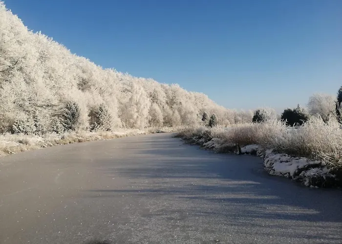 Marka Pokoje Goscinne