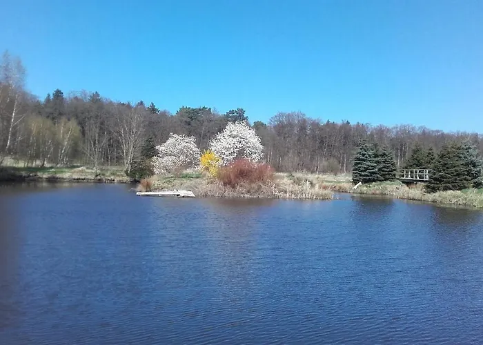 Marka Pokoje Goscinne