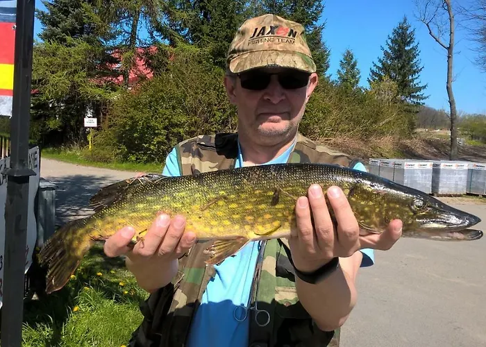Marka Pokoje Goscinne