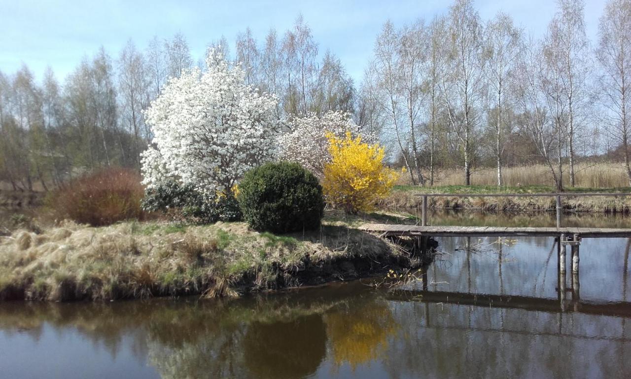 Homestay Marka Goscinne Mielno (Koszalin)