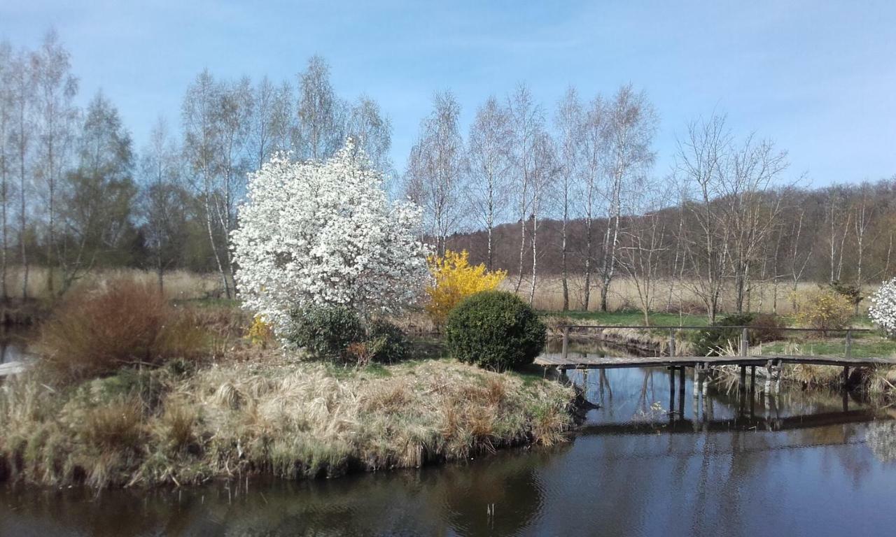 Marka Goscinne Mielno (Koszalin)